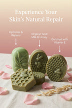 Aloe Vera Soap Set $16.00 (2 soap bars)