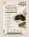 Organic neem soaps collection with eight bars for acne control and skin hydration